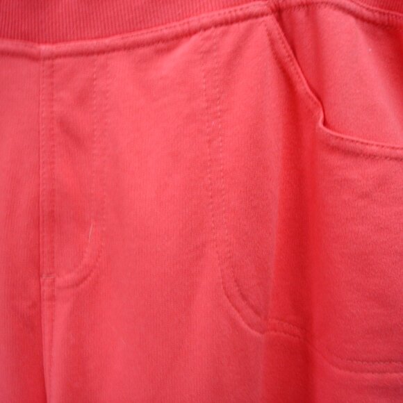 NWT WMN'S KIM ROGERS PANTS/SLACKS SZ PL ORANGE - Picture 2 of 4